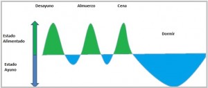 alimentación estandar