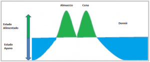 ayuno intermitente